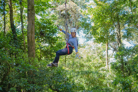 Die Original Canopy Tour Monteverde