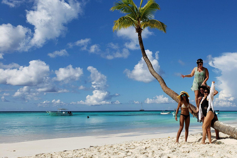 Saona Island: Relaxation Day Trip with Open Bar