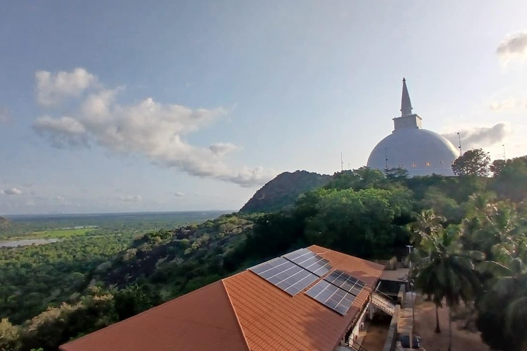 From Colombo/Negombo to Anuradhapura Day Tour with Mihintale