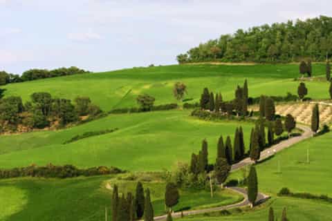From Siena: San Gimignano, Montalcino & Wine Tasting