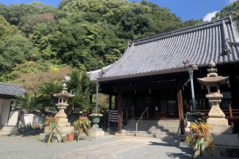 1-Day Tour in Hiroshima: Rabbit Island and Takehara Town