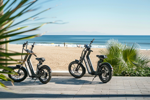 Valencia: Normales Fahrrad und Elektrofahrradverleih RuzafaValencia: Normaler Fahrradverleih Ganzer Tag Ruzafa