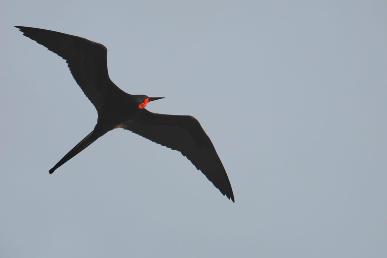 Galapagos landtur 3 öar (5 dagar)