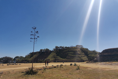 Visite guidée d&#039;une journée sur la route du Monte AlbanBillets et repas inclus