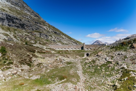 Tirano - St. Moritz : billet journalier aller-retour du train rouge de la BerninaBillet aller-retour ligne Bernina (1re classe)