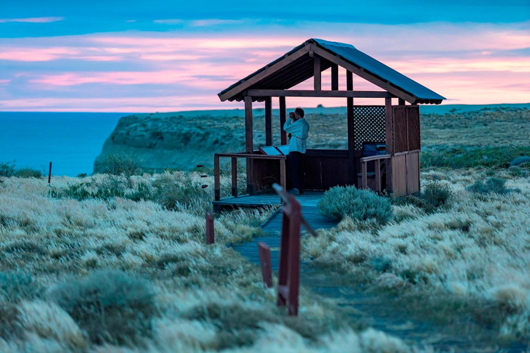 El Calafate: Monte León 4x4 Wolves and Penguins Excursion