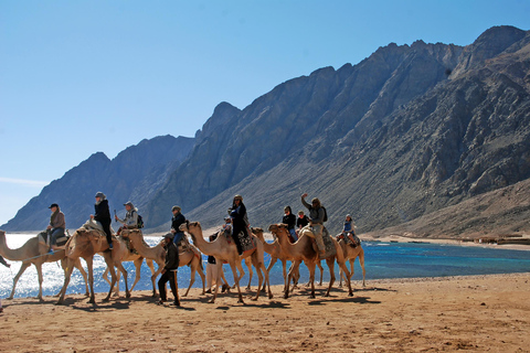 Sharm: 3 Pools Dahab Tour, Quad, Camel, Red Canyon & Lunch 3 Pools Tour, Camel, Red Canyon included Lunch