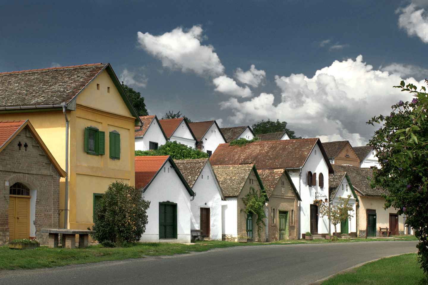 Winetaste in Villany, sightseeing in Pécs, private tour