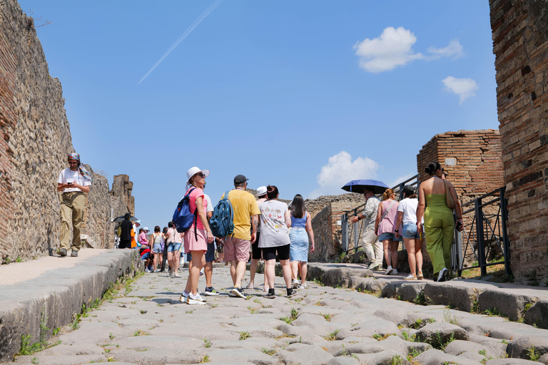 Pompeii Ruins & Vesuvius Full-Day Tour from Naples Pompeii Ruins & Vesuvius Full-Day Tour from Naples