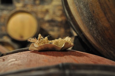 Burgundy Wines Full-Day Tasting Tour from Dijon