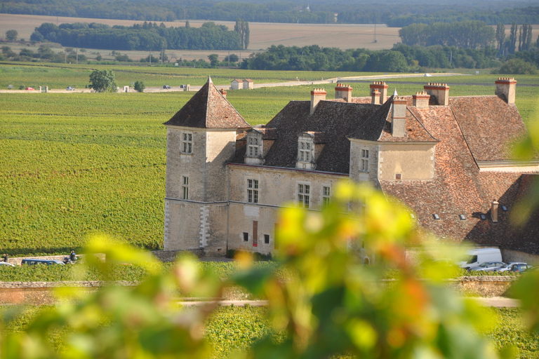 Burgundy Wines Full-Day Tasting Tour from Dijon