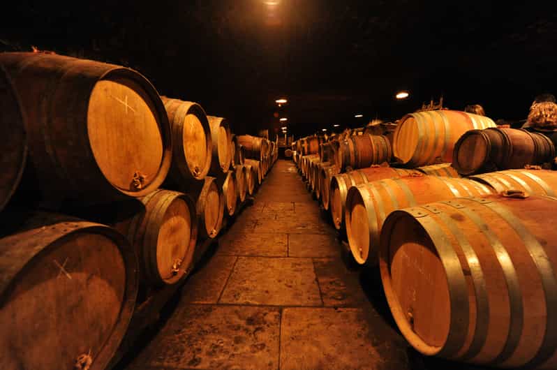 Burgundy Wines Full-Day Tasting Tour from Dijon