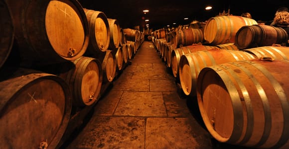 Ab Dijon: Ganztägige Wein-Verkostungstour in Burgund