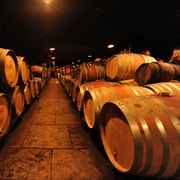 Ab Dijon: Ganztägige Wein-Verkostungstour in Burgund