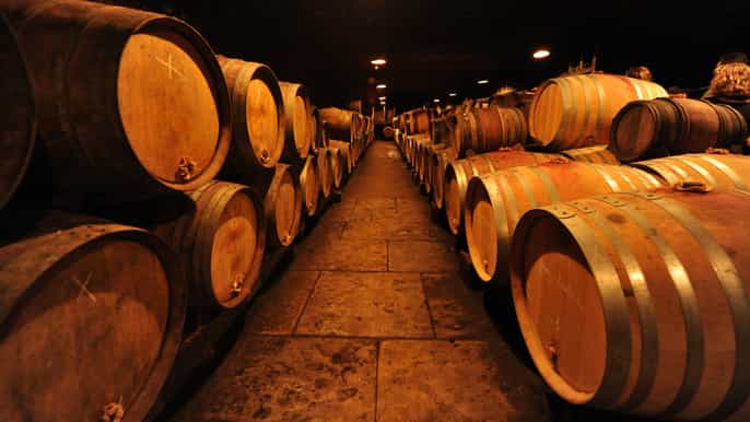 depuis dijon journée de dégustation des vins de bourgogne