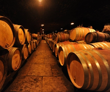 Burgundy Wines Full-Day Tasting Tour from Dijon