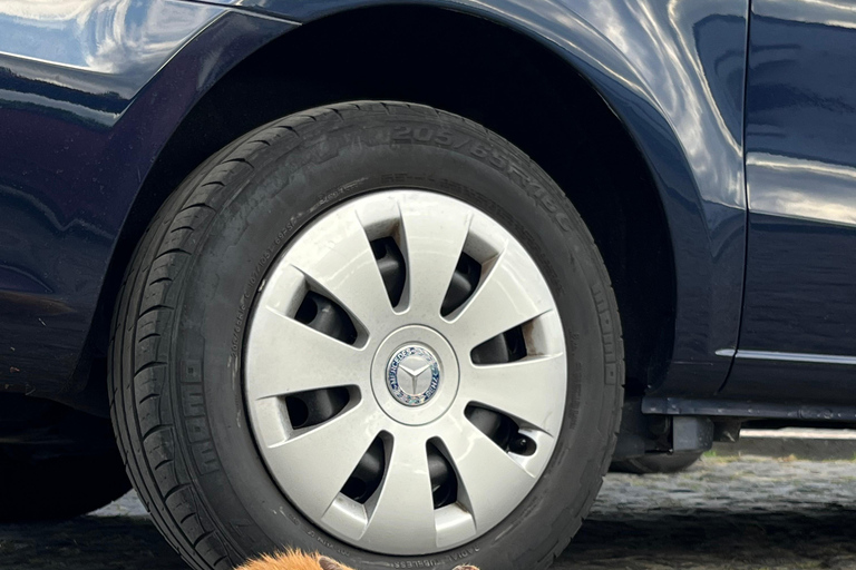 São Miguel: Sete Cidades, Lagoa do Fogo & Furnas - Full Day Tour