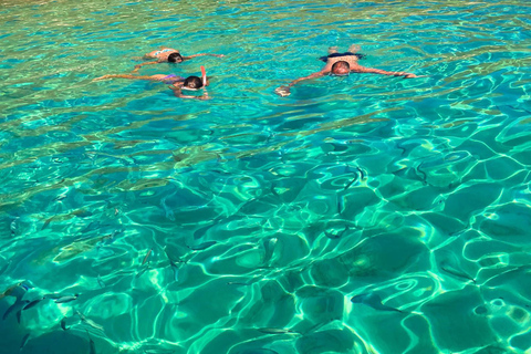 Alcudia: Private boat tour to the lighthouse island