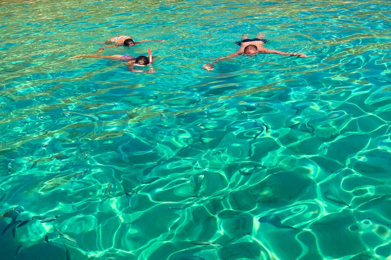 Alcudia: Private boat tour to the lighthouse island