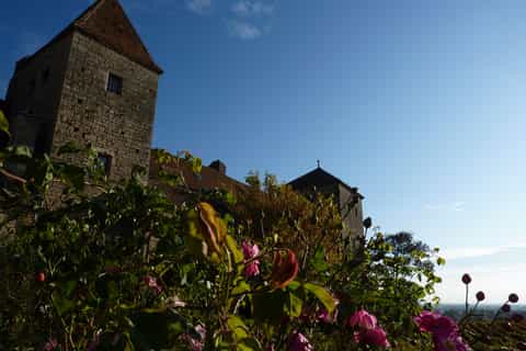 Burgundy: Half-Day Wine Tasting Tour from Dijon