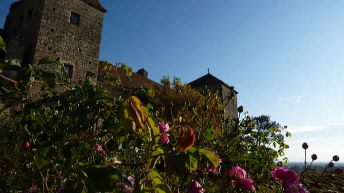depuis dijon dégustation de vins en bourgogne