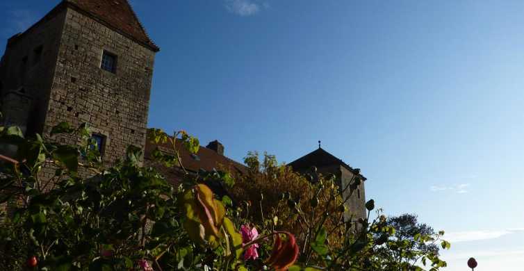 De Dijon: excursão de degustação de vinhos da Borgonha