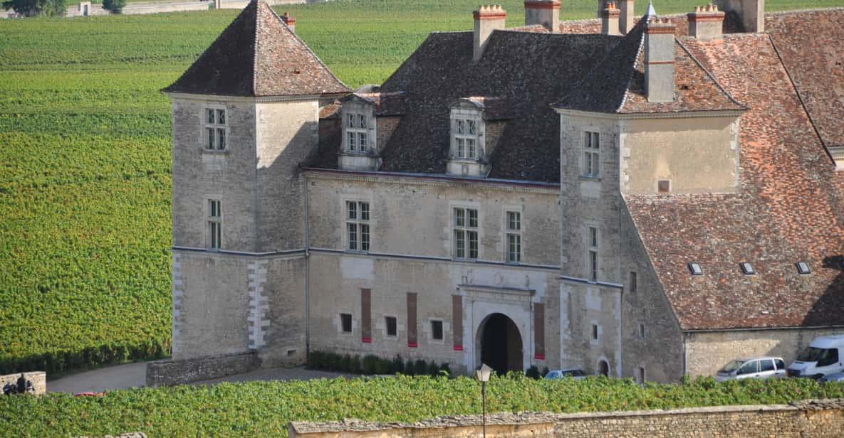 Dijon: Wines of Burgundy Half-Day Tour of Beaune