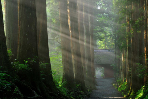 ناغانو: جولة خاصة في ضريح توجاكوشي، ساكي وزينكوجيالاستلام من مدينة ناغانو والمناطق المجاورة