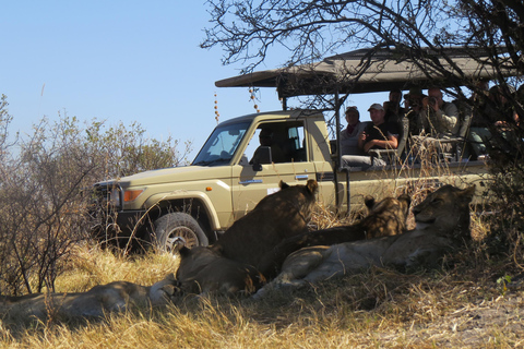 Zimbabwe: 7-Day Victoria Falls, Hwange & Matobo Tour