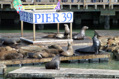 San Francisco: Hop-On Hop-Off City Bus Tour and Bay Cruise