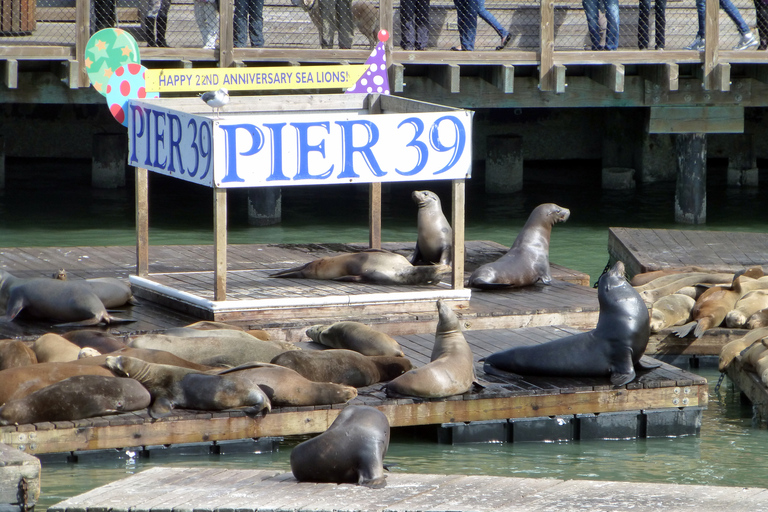 San Francisco: Hop-On Hop-Off City Bus Tour and Bay Cruise