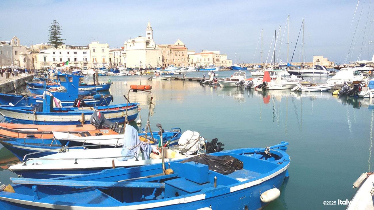 Lecce: Exklusive Tagestour nach Trani und Castel del Monte