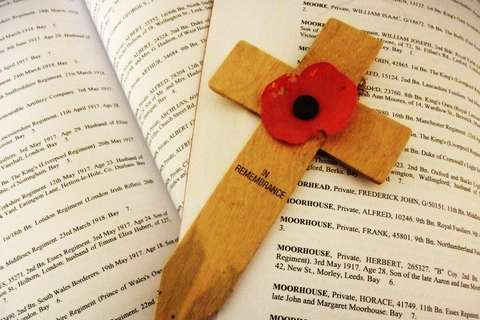 In Flanders Fields: Canadian Ypres Salient from Arras / Lens