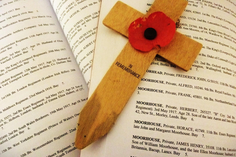 In Flanders Fields: Canadian Ypres Salient from Arras / Lens