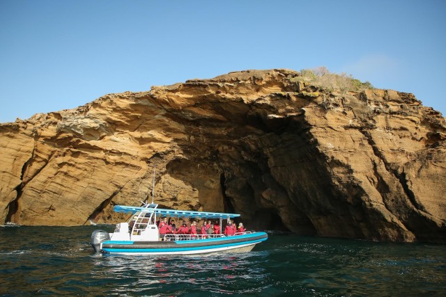 Visit Coastal 2.5-hour Adventure Boat Tour from Newcastle in Newcastle