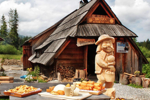 Cracovie : Visite de Zakopane + piscines thermales avec prise en charge à l'hôtelZakopane + piscines thermales avec prise en charge à l'hôtel|Transport partagé