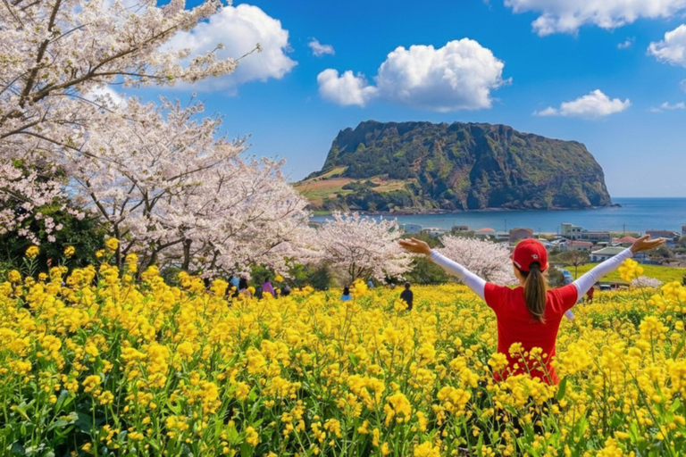 Jeju Tour | Jungmun & Seogwipo Pick-up | UNESCO Highlights