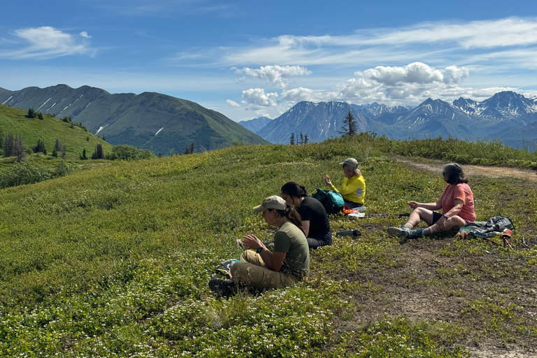 Palmer Hidden Waterfalls Guided Backcountry Hike