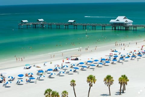Da Orlando: accesso a Clearwater Beach e Marine Aquarium