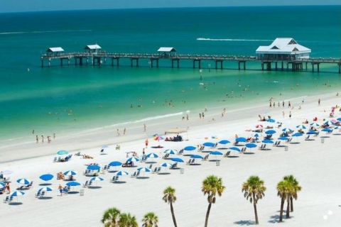 From Orlando: Clearwater Beach and Marine Aquarium Admission Clearwater Beach: Day Trip with Marine Aquarium with Lunch