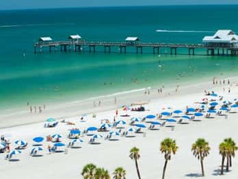 Ab Orlando: Clearwater Beach und Einlass ins Marine Aquarium Ab Orlando: Clearwater Beach und Einlass ins Marine Aquarium