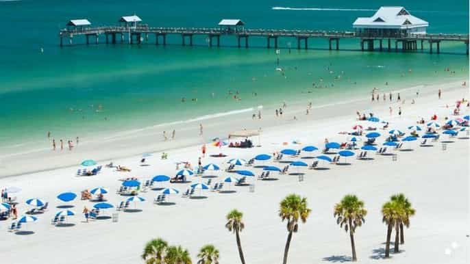 from orlando clearwater beach and marine aquarium admission