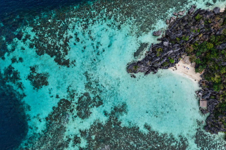 Coron Private Speedboat Tour with Exclusive Lagoon Lunch
