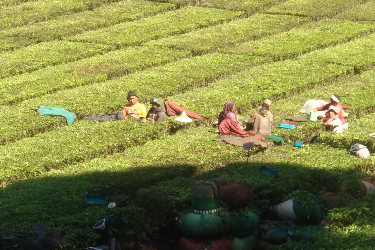 Bandung : Private Tour Guide Sightseeing (Costum tour)