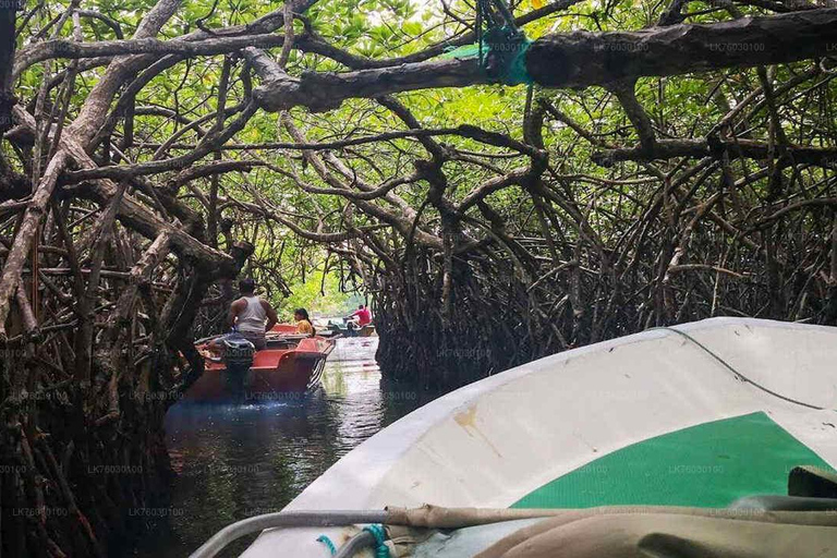 Sri Lanaka : Excursión de 2 días con Hikkaduwa / Galle / Yala