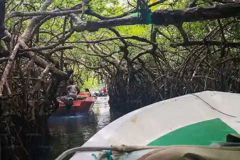 Safari en barco por el río Madu: Un viaje por el paraíso natural