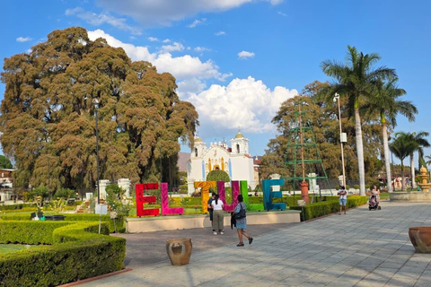 Mezcal and Traditions Route: Tree of Tule, Teotitlan Village, and Distillery Mezcal and Its Traditions Tour: Tree of Tule, Teotitlán, and Distillery