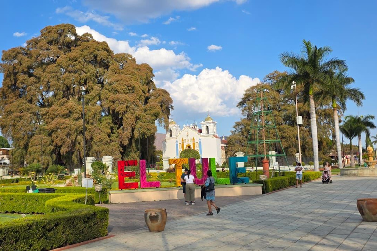 Mezcal and Traditions Route: Tree of Tule, Teotitlan Village, and Distillery Mezcal and Its Traditions Tour: Tree of Tule, Teotitlán, and Distillery