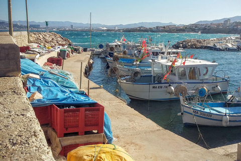 Passeio de ebike de dia inteiro por Marselha e CalanquesDe Calanques à cidade de Marselha