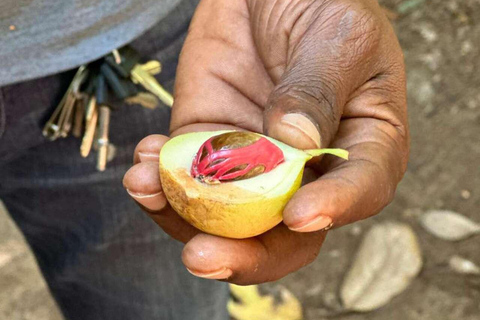 Zanzibar: Spice Farm, Jozani Forest & Salaam Cave Tour Private tour without hotel transfer